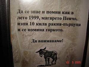 абсурди куриози