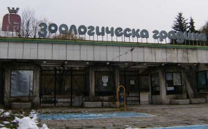 zoo1