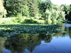 Липник Местността, където се намира резиденцията