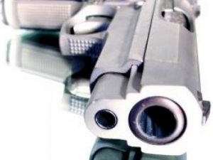 gun