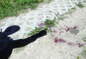 кръв При половината сбивания, се вади нож