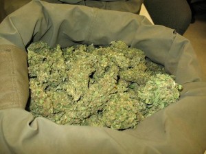 droga1