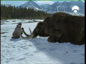 Мамут