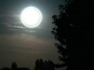 Първият български некрофил загина загадъчно