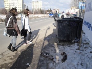 одрани
