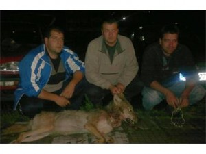 Ловец уби вълчица край Смолян