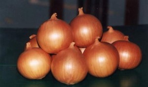 лук
