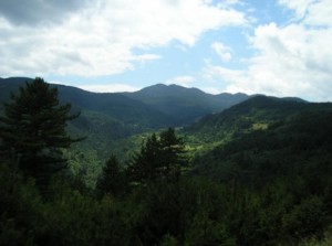 Цветелина Бориславова разора най-красивата планина в България, за да разшири незаконно лифта от местността Двата моста до връх Снежанка